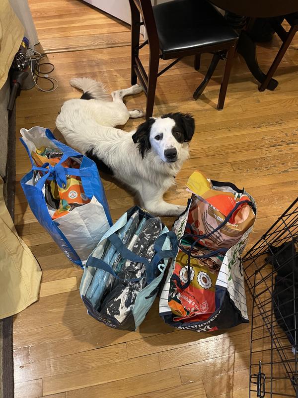 Leo with restock of Kismet food and treats