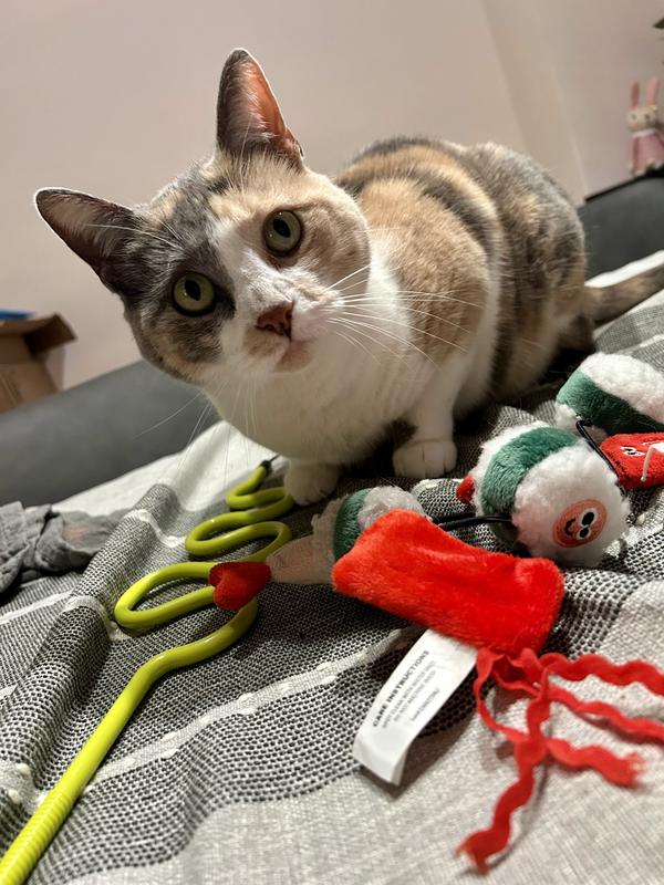 Pippa and her 2 sushi toys