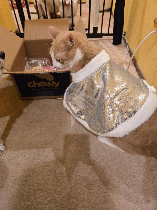 Curious about gifts...