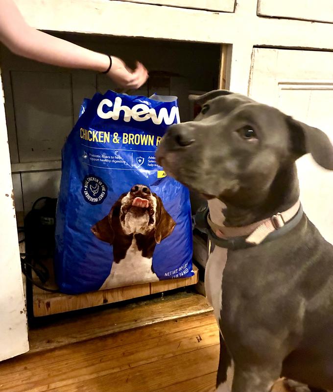 Demi loves her new food!