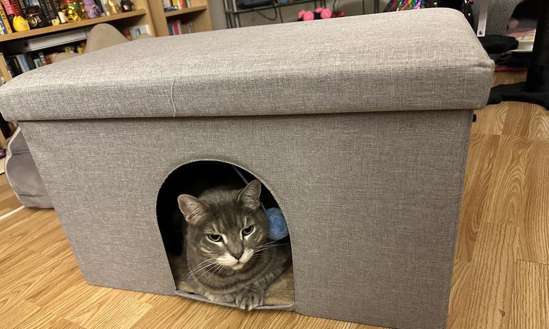 Earl Grey tried in out immediately.