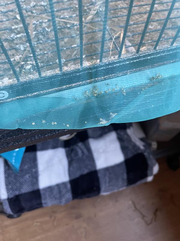 Traps seed hulls & dander