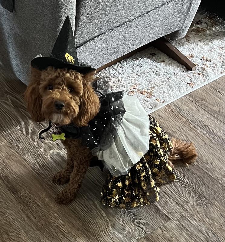 Dusty Rose the Witch.