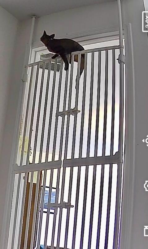 Only took one week to defeat