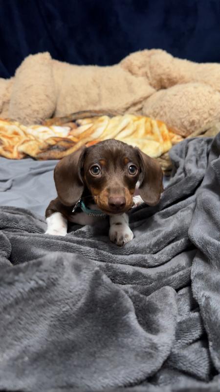 Tiny Guy can eat these!