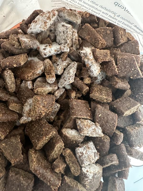 Terrible bag and dog's gonna be hungry instead!