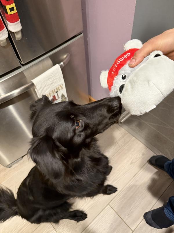 Such a good pick , must try