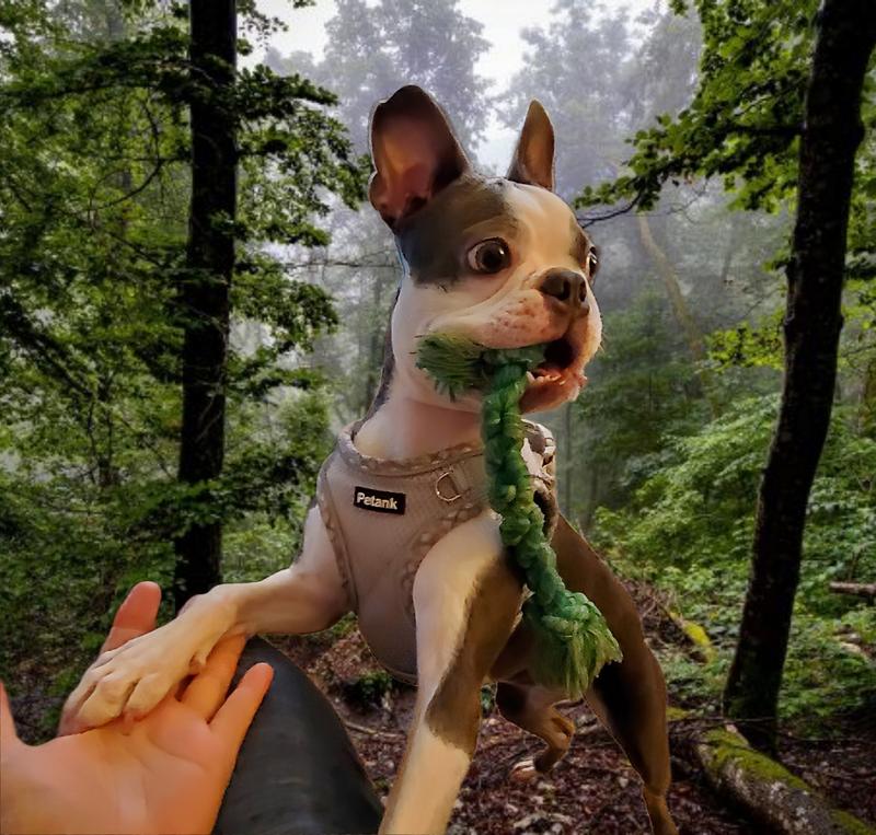 Princess Willow Skye