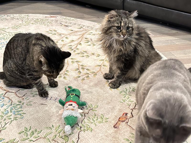 Hmmm…what is this?