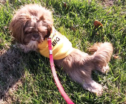 "I love my t-shirt!"