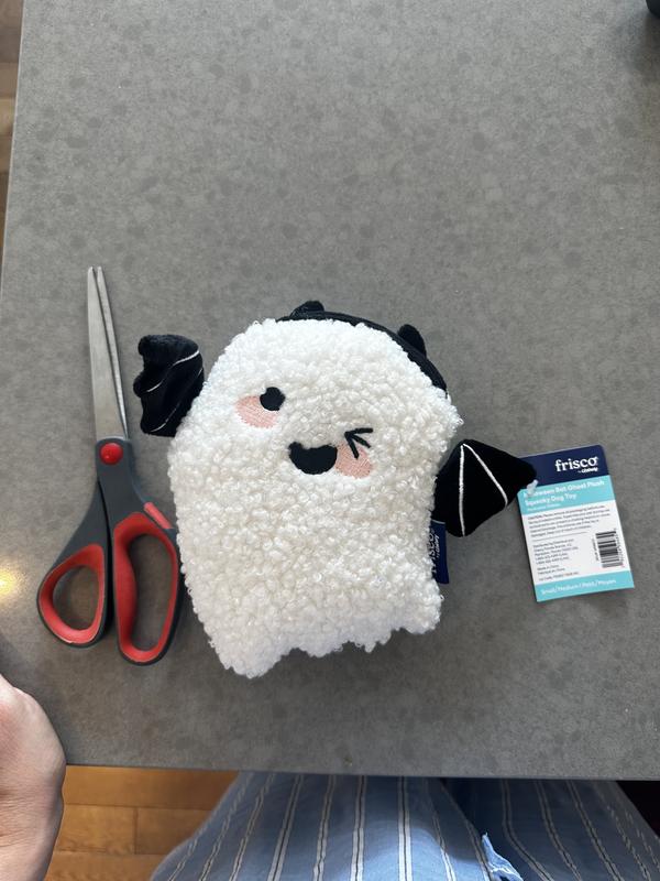 Standard Scissors for scale