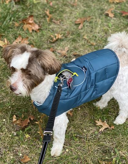Oakley enjoyed his new Kurgo coat on a Fall walk