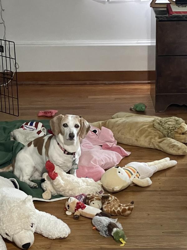 My healthy 13 year old girl thanks to this medication
