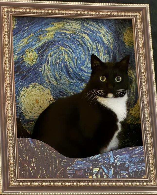 Chefs Kiss!!!! 😘😘