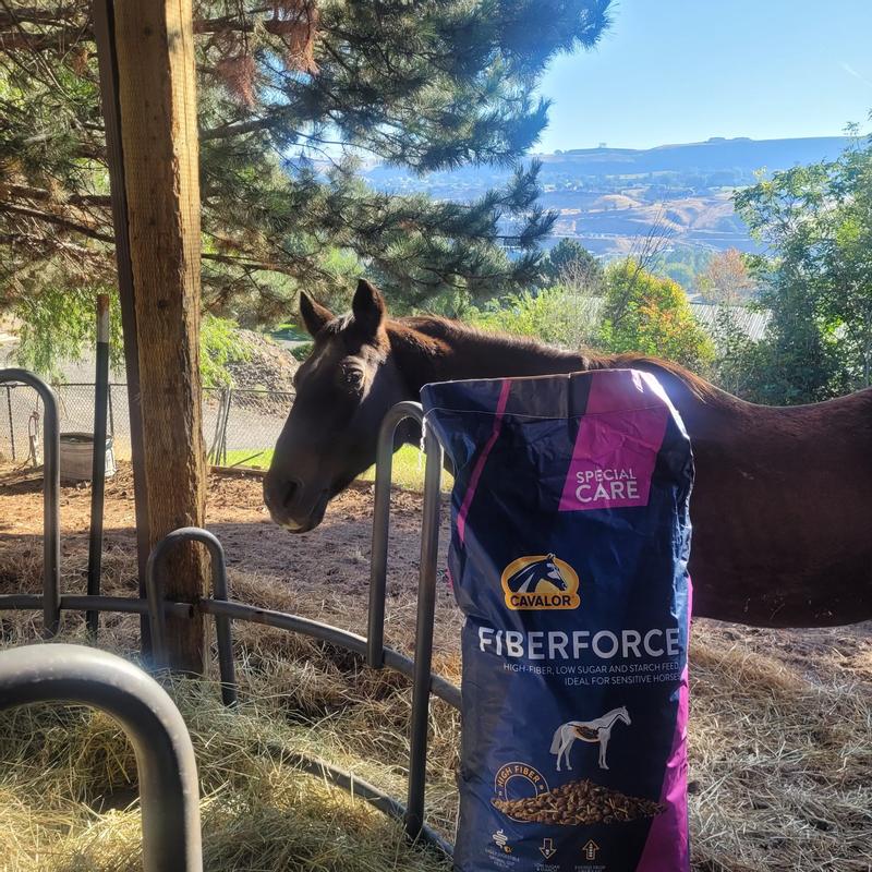 Peppy waiting patiently to try his new food