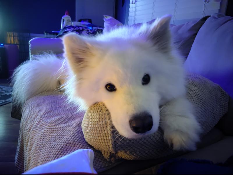 Nice headrest