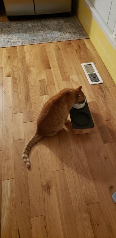 George...loves having his own table.