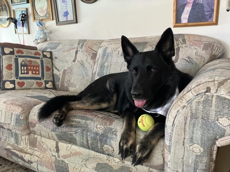 My big boy has expensive tastes