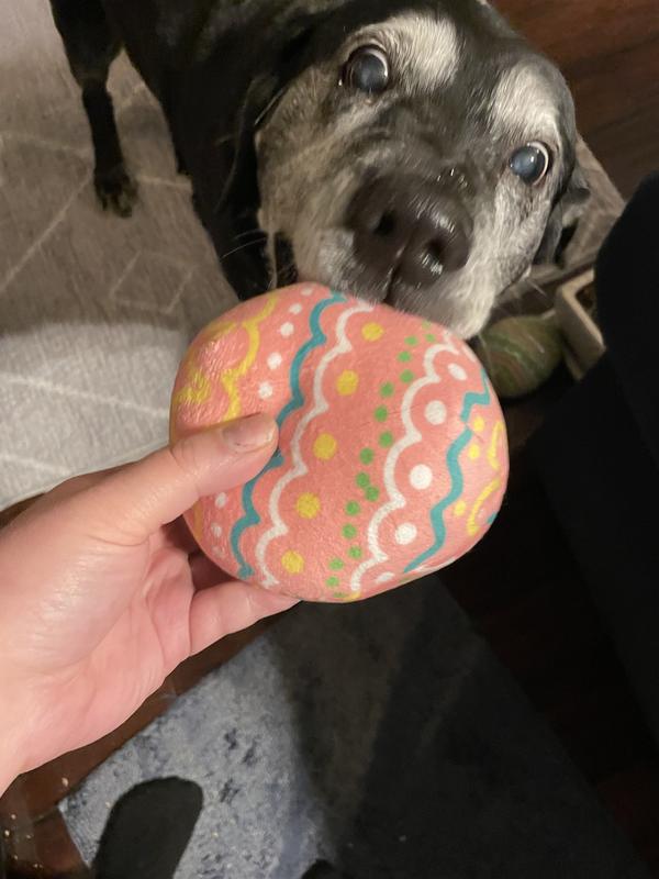 FRISCO Easter Eggs Plush Squeaky Dog Toy Medium 3 count Chewy