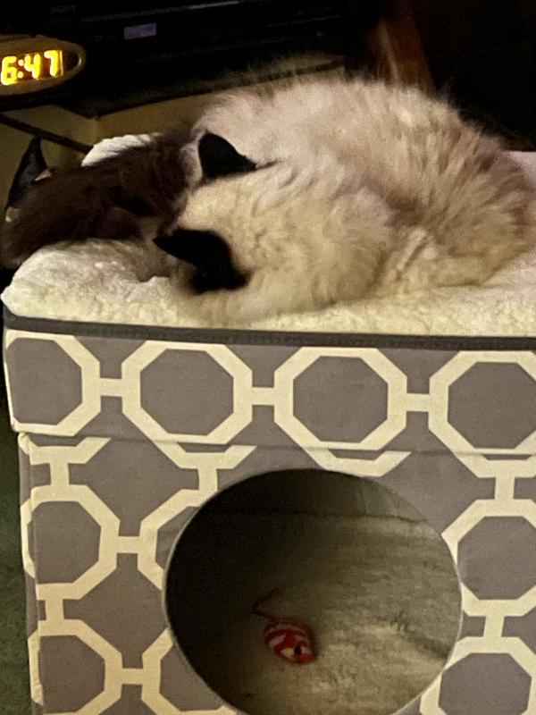 Sooo comfy !