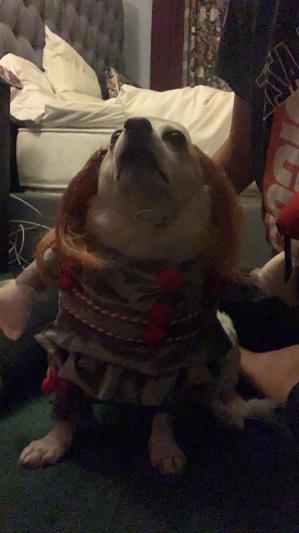 “I look ugly mom!!”