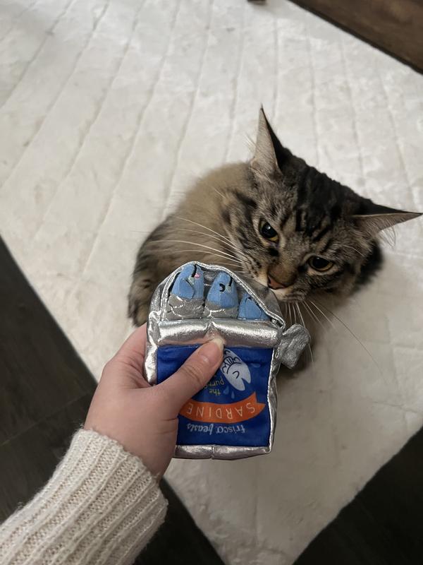 Anchovies in tin