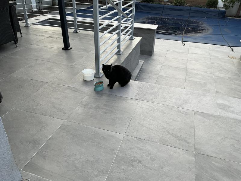 I put on top of their food and they enjoy