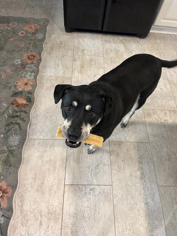 i love my new treat!