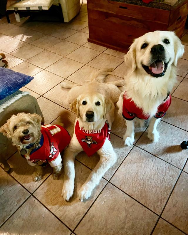 Awesome doggy jersey!!