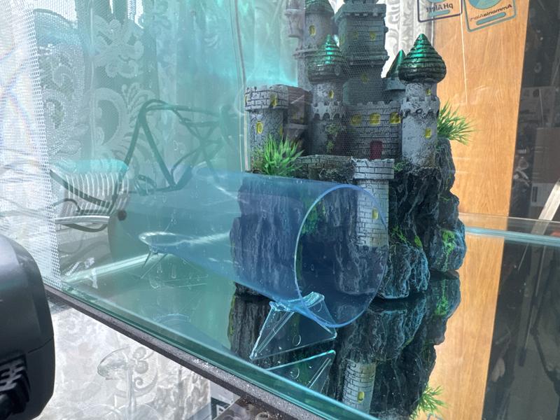 A great hiding 😶‍🌫️ ghost tunnel