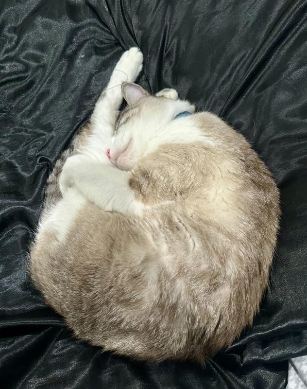 Original photo, with the string