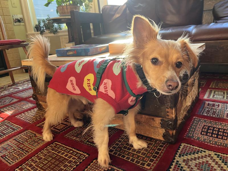 a win for the winter