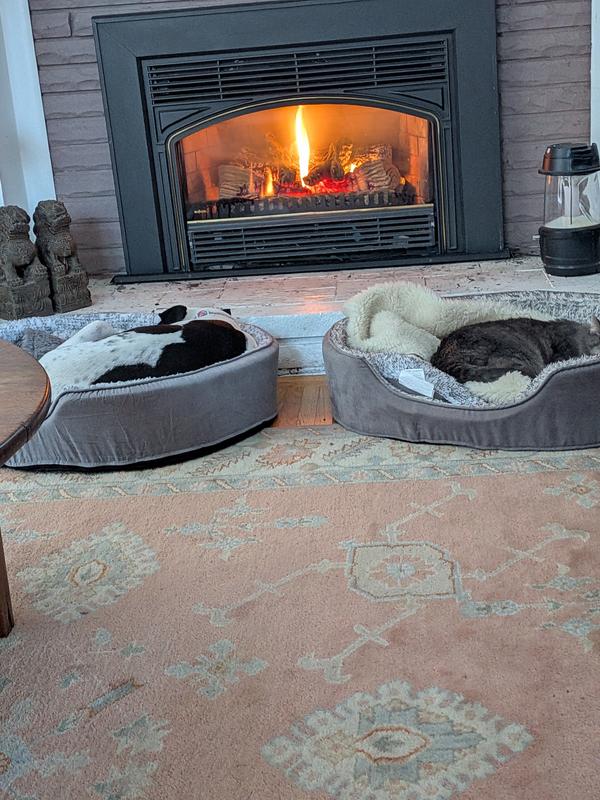 Lizzy and Otis enjoying a cold afternoon.