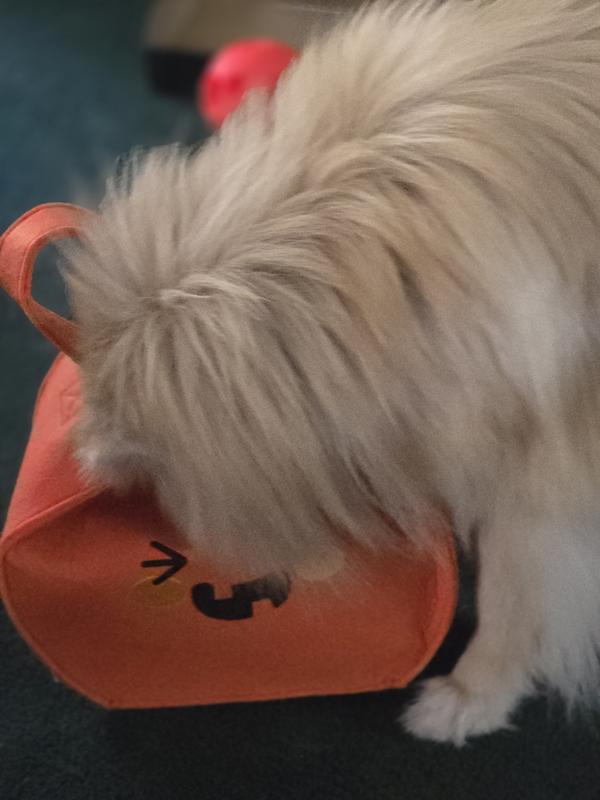 Digging in Halloween bag