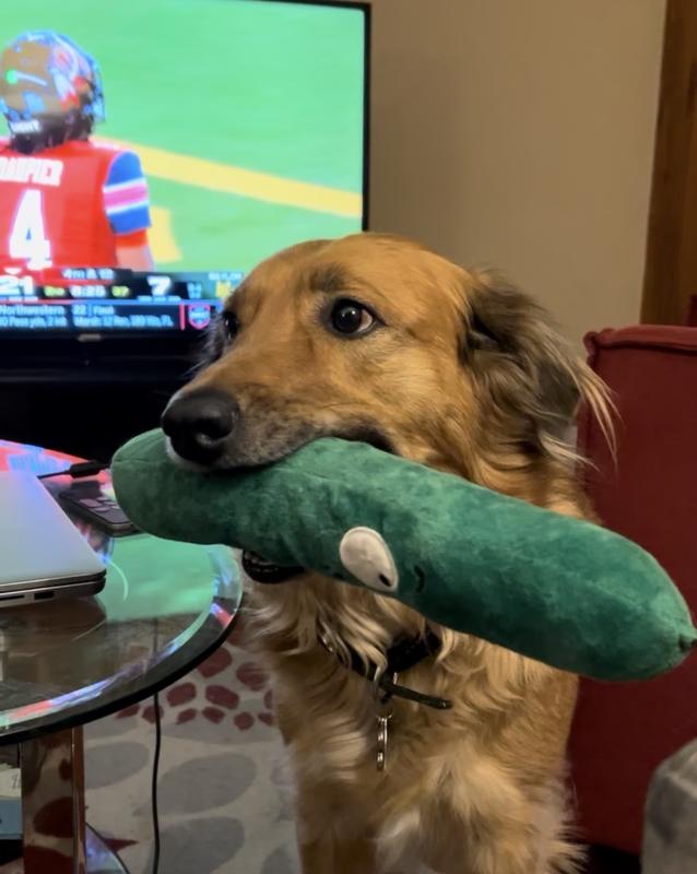 Image 1 of 1000 of Pol showing off his pickle