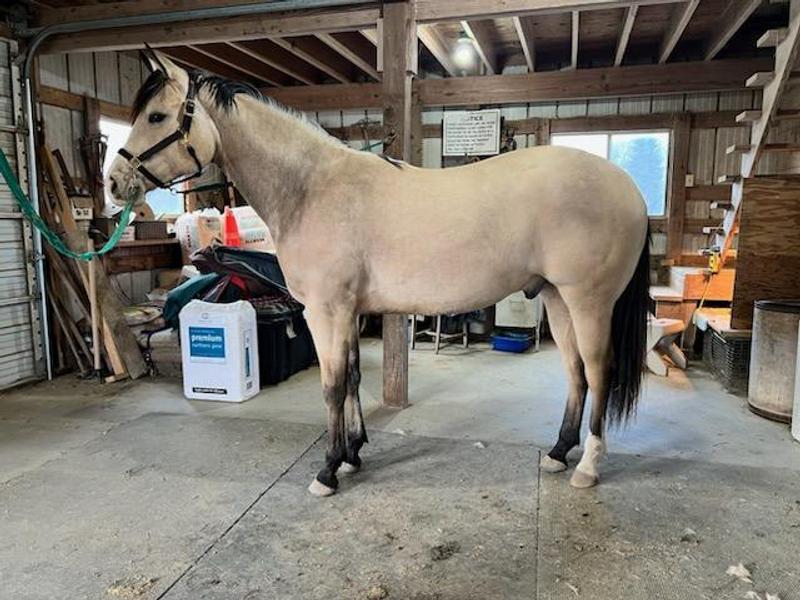Brady is excited for his tasty pellets and looking great
