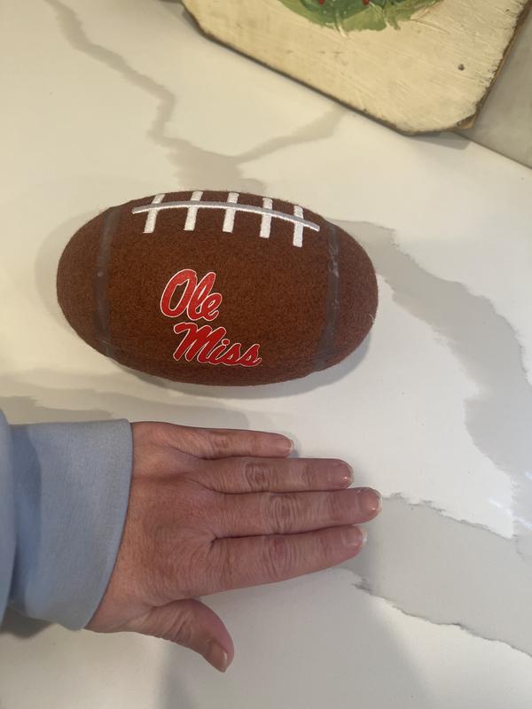 My hand for reference to show the size. This would probably be fine for large dogs