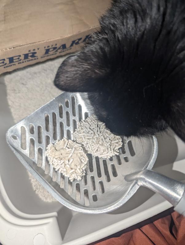 It's actually flushable