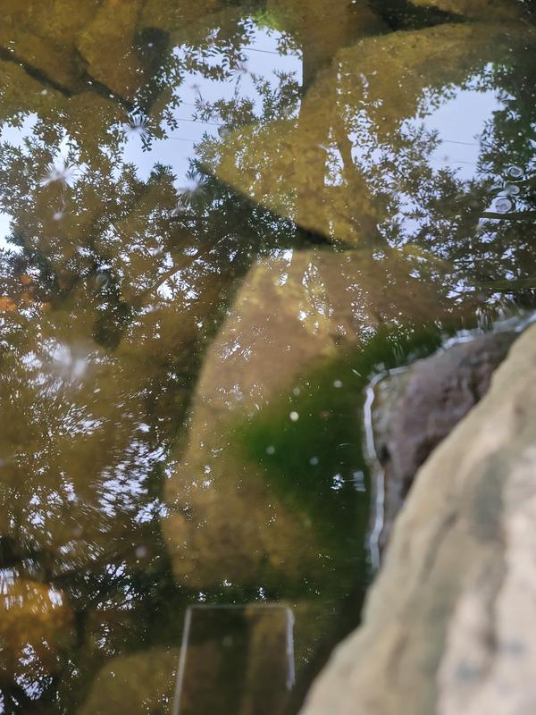 Before and after use