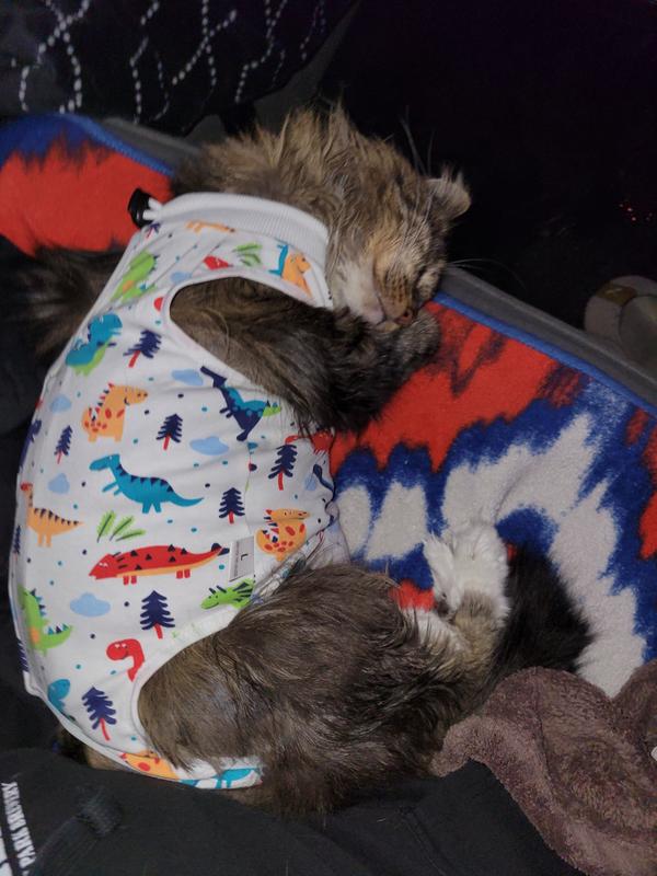 Charlie in his "dino outfit" during treatment to protect his sores