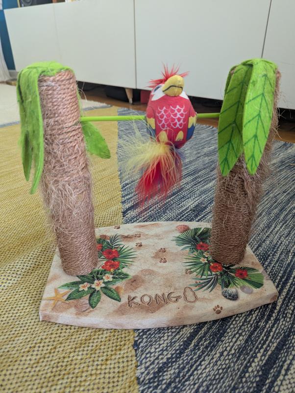 A well loved set of palm trees