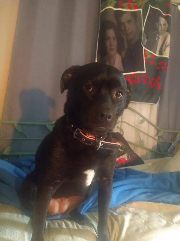 Fresh out of the tub!