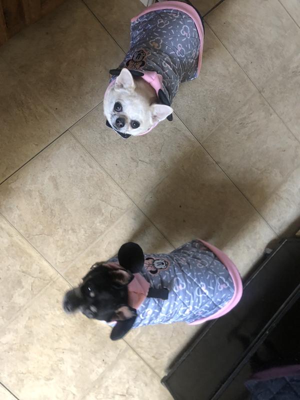 My girls loving their new coats