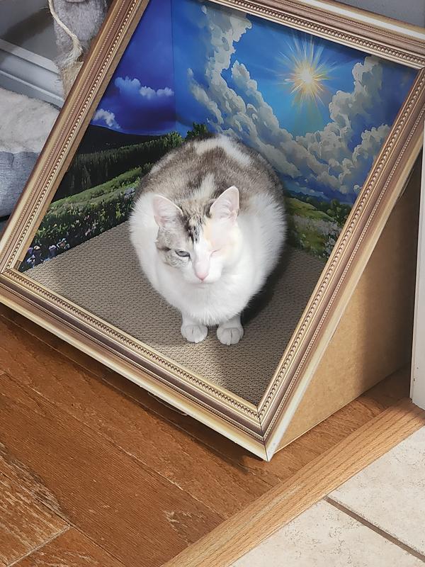 After poking herself in the eye on the frame.