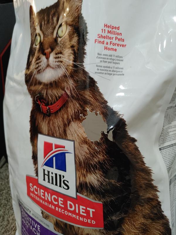 Hill's science diet sensitive stomach cat food clearance reviews