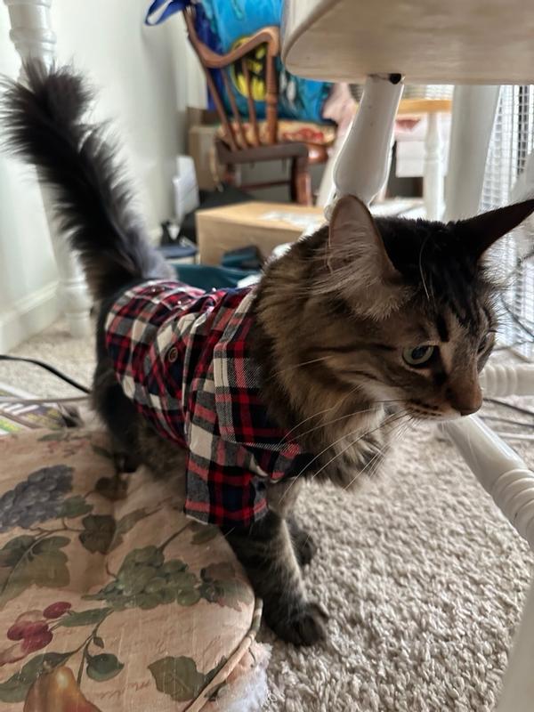 FRISCO Red & Blue Plaid Dog & Cat Flannel Shirt, XX-Large - Chewy.com