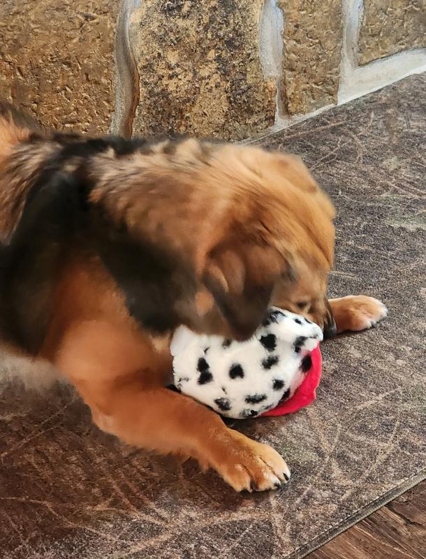 Getting familiar with her new toy