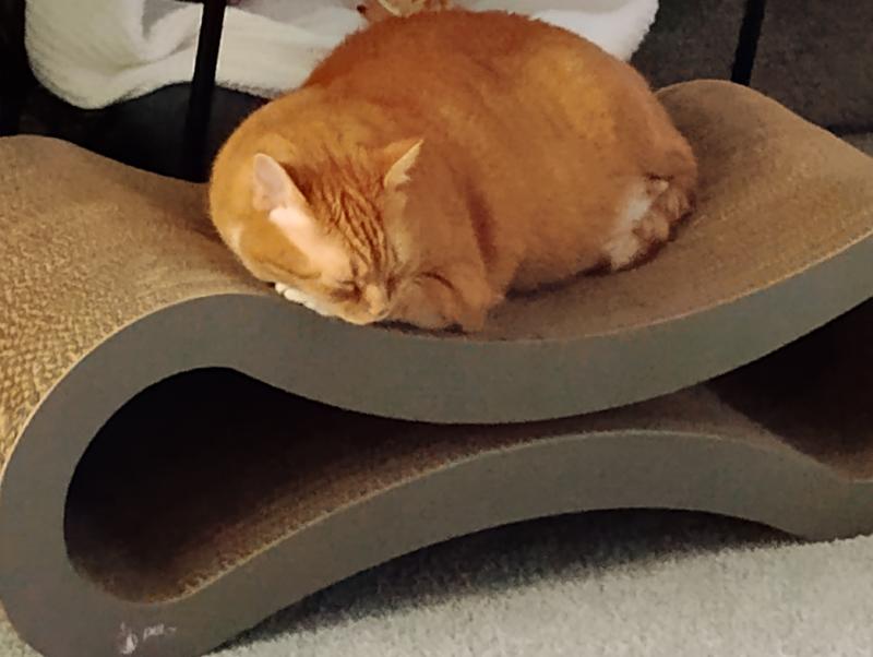 Large Cat Scratcher PetFusion Jumbo Cat Scratcher Lounge White