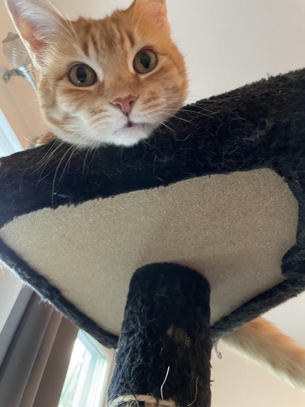 You found me !….Lucy 11 yrs old
