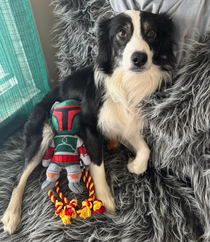 STAR WARS BOBA FETT Plush with Rope Squeaky Dog Toy
